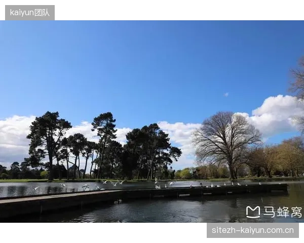 研究表明时差将影响战术理解力，新西兰队临场执行或出现偏差。